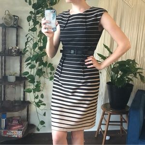 Business Casual Brown and Black Short Dress